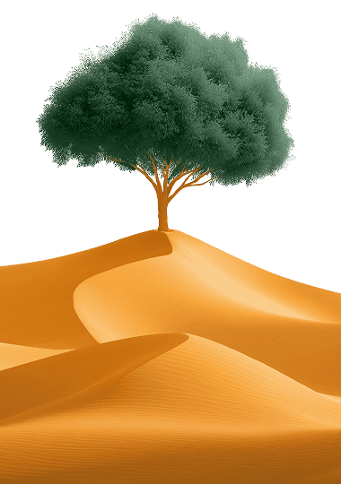 Front dunes with tree